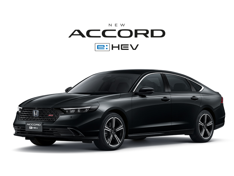 Profile-Accorde2025